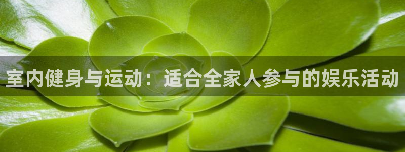 杏宇体育和杏耀是哪个公司的：室内健身与运动：适合全家人参与的娱乐活动