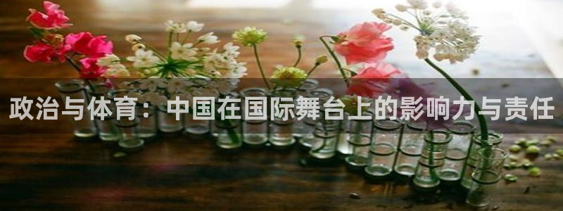 福建杏宇机电股份公司：政治与体育：中国在国际舞台上的影响力与责任