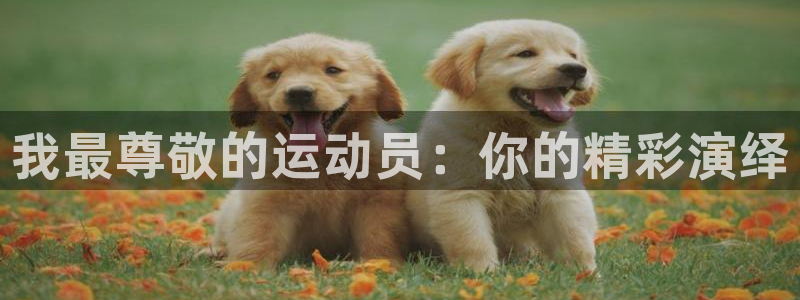 汾阳杏宇酒业有限公司：我最尊敬的运动员：你的精彩演绎
