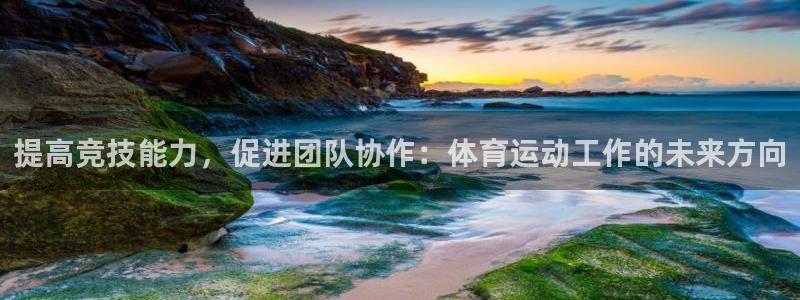 杏宇代理注册官网入口：提高竞技能力，促进团队协作：体育运动工作的未来方向