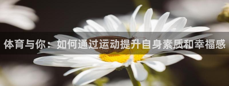 杏宇注册平台登录网址：体育与你：如何通过运动提升自身素质和幸福感