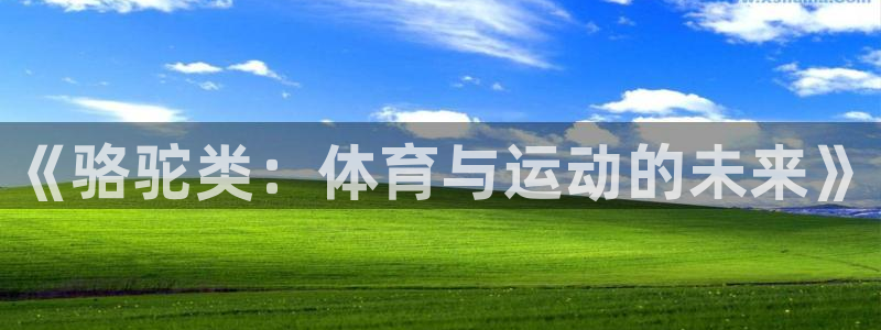 杏宇集团总部：《骆驼类：体育与运动的未来》