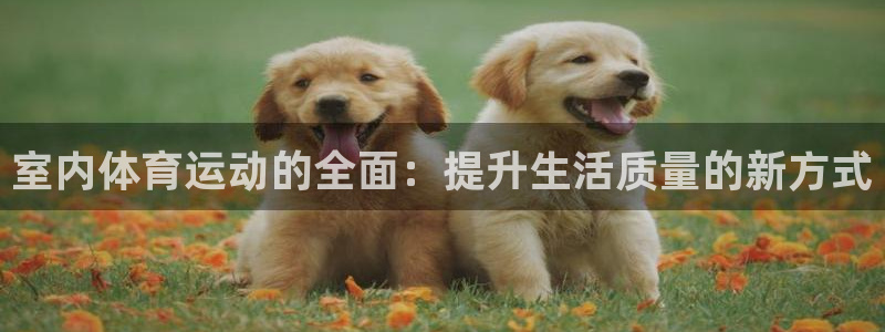 杏宇体育平台登录入口：室内体育运动的全面：提升生活质量的新方式