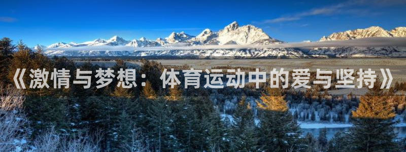 杏宇体育平台总代理：《激情与梦想：体育运动中的爱与坚持》