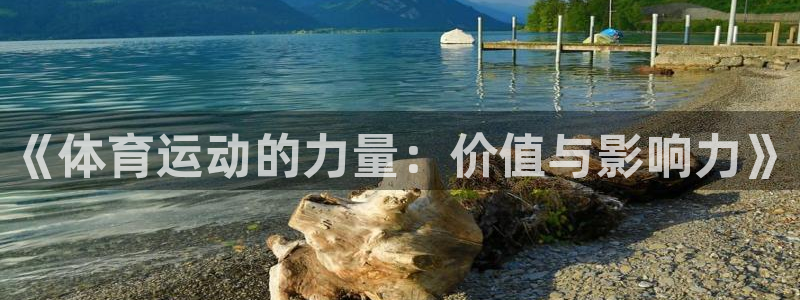 山西杏宇酒业有限公司：《体育运动的力量：价值与影响力》