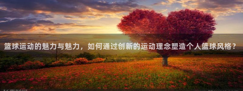 杏宇vk：篮球运动的魅力与魅力，如何通过创新的运动理念塑造个人篮球风格？