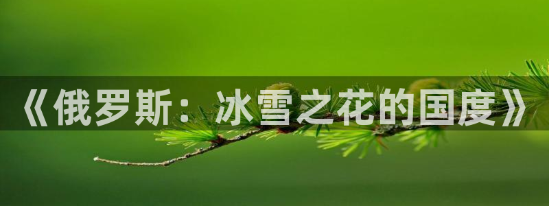 杏宇主管：《俄罗斯：冰雪之花的国度》