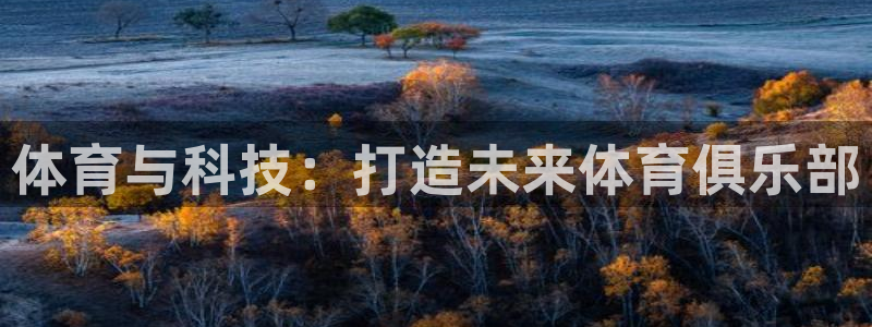 杏宇代理注册官网入口：体育与科技：打造未来体育俱乐部