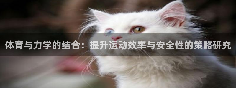 杏宇体育官网注册：体育与力学的结合：提升运动效率与安全性的策略研究