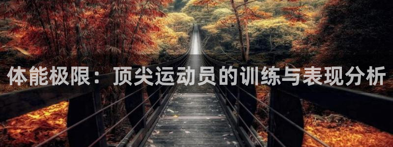 杏宇2登录：体能极限：顶尖运动员的训练与表现分析