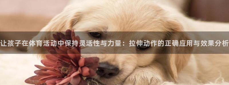 杏宇2平台登录：让孩子在体育活动中保持灵活性与力量：拉伸动作的正确应用与效果分析