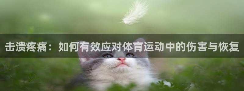 杏宇3注册：击溃疼痛：如何有效应对体育运动中的伤害与恢复