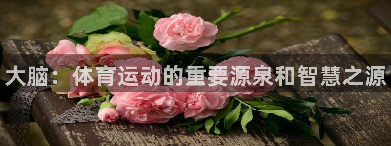 杏宇平台：大脑：体育运动的重要源泉和智慧之源