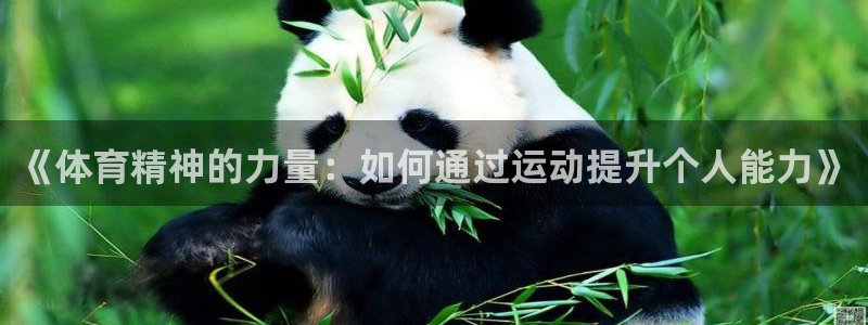 杏宇平台主管：《体育精神的力量：如何通过运动提升个人能力》