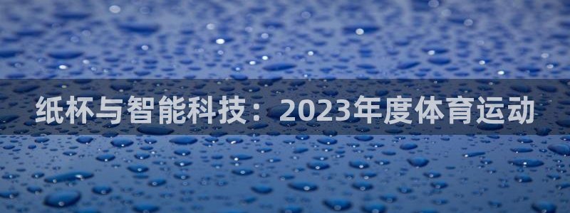 汾阳杏宇酒业有限公司：纸杯与智能科技：2023年度体育运动