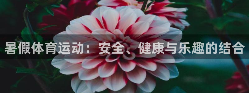 杏宇体育免费注册入口：暑假体育运动：安全、健康与乐趣的结合