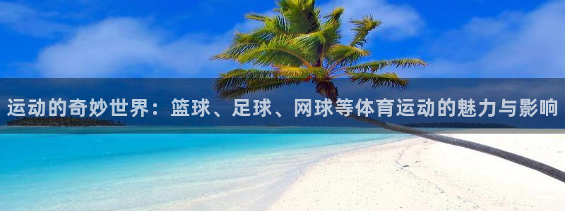 杏宇体育f开号：运动的奇妙世界：篮球、足球、网球等体育运动的魅力与影响