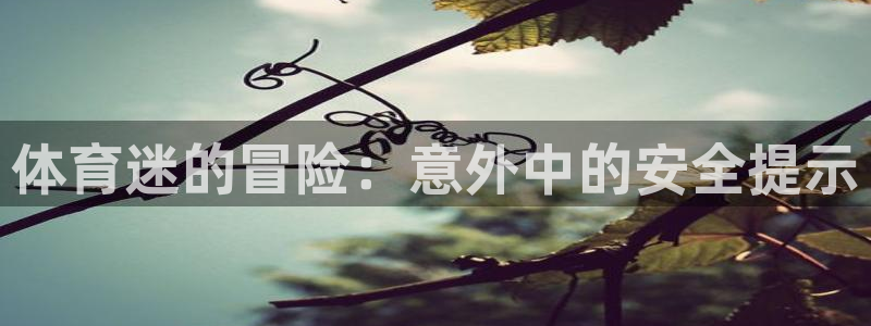 安徽京杏宇建材有限公司：体育迷的冒险：意外中的安全提示