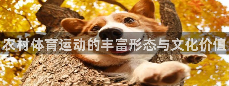 杏宇3：农村体育运动的丰富形态与文化价值