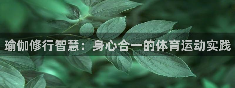 杏宇平台招商：瑜伽修行智慧：身心合一的体育运动实践
