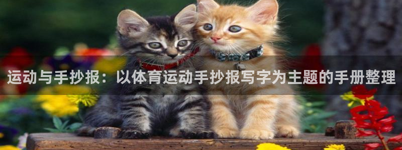杏宇f凯捷平台在线注册：运动与手抄报：以体育运动手抄报写字为主题的手册整理
