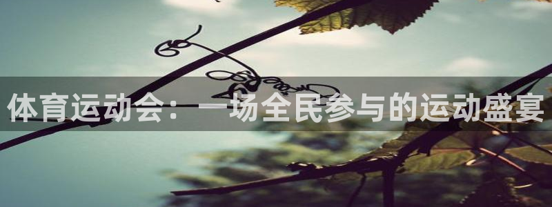 杏宇体育凯捷登陆：体育运动会：一场全民参与的运动盛宴