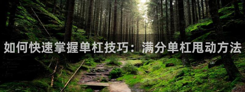 德国杏宇集团：如何快速掌握单杠技巧：满分单杠甩动方法