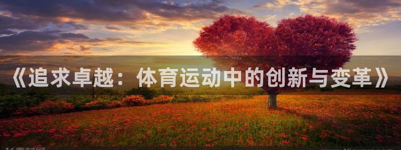 杏宇4注册：《追求卓越：体育运动中的创新与变革》