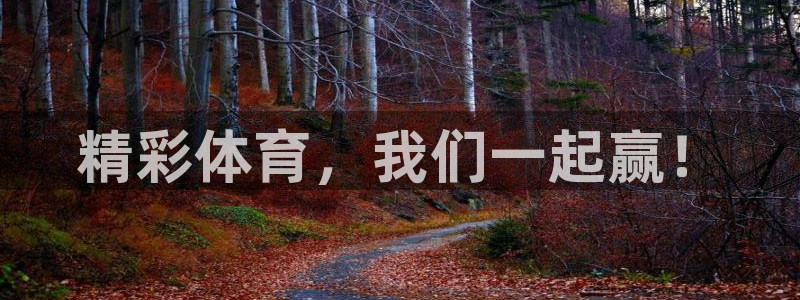 汾阳杏宇酒业有限公司：精彩体育，我们一起赢！