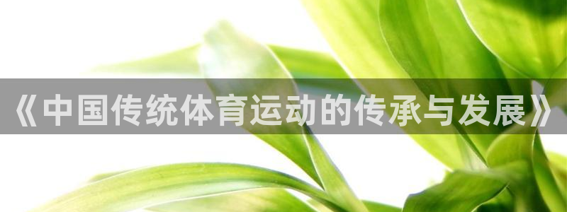 汾阳市杏宇酒业有限公司：《中国传统体育运动的传承与发展》