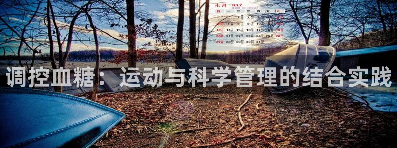 杏宇3平台登录注册：调控血糖：运动与科学管理的结合实践